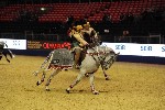 Quadrille - 00789